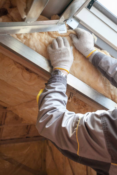 Best Residential Insulation in Elmira, NY