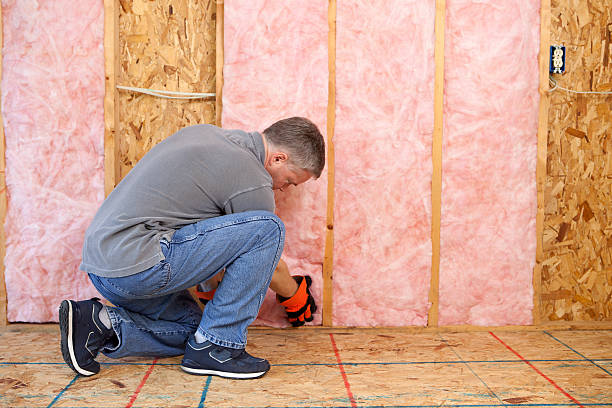 Best DIY Insulation Kits and Guidance in Elmira, NY