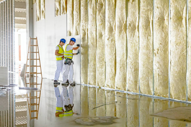 Types of Insulation We Offer in Elmira, NY